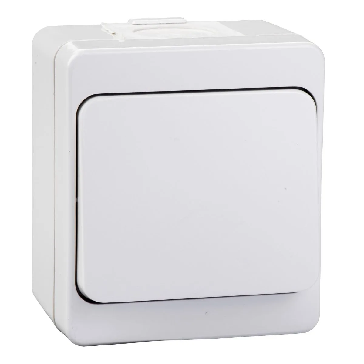 NEMLİYER LİGHT BUTONU